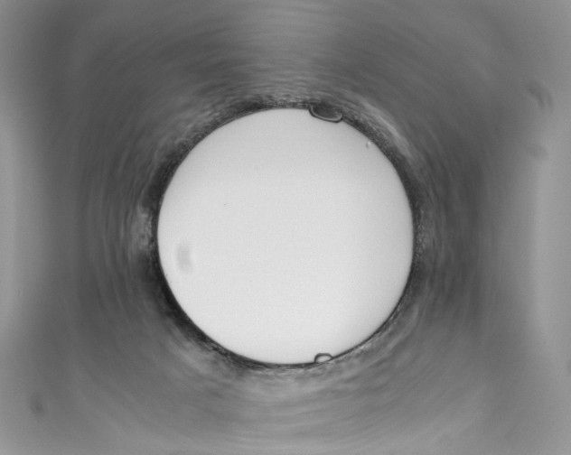 X0000110910025200907091446