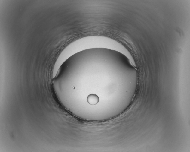 X0000110910029200907091446