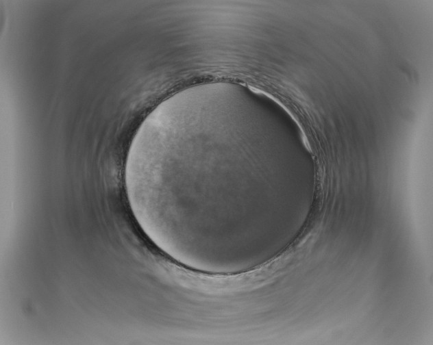 X0000110910039200907091446