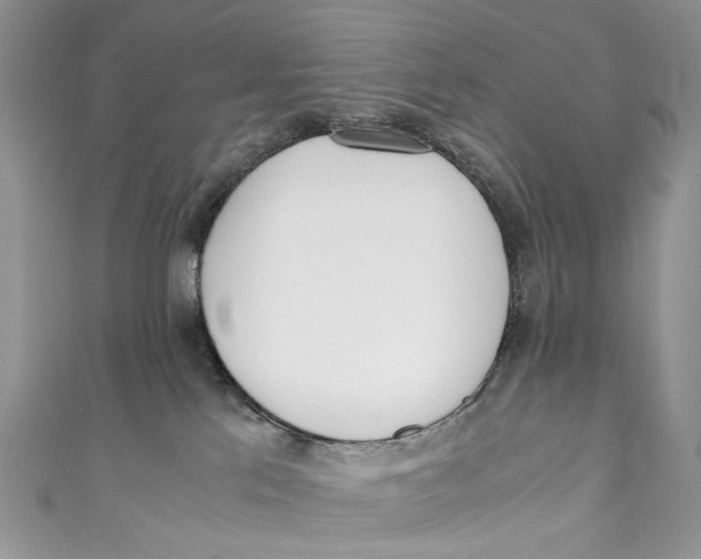 X0000110910041200907091445