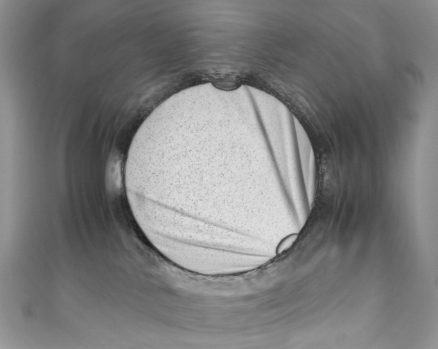 X0000110910042200907091445