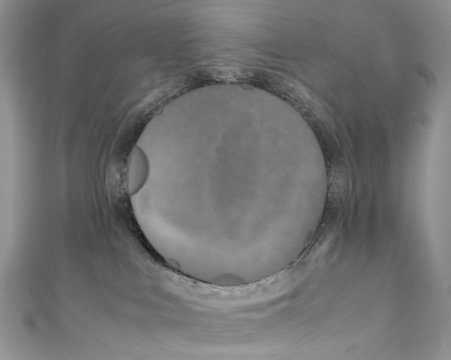 X0000110910043200907091445