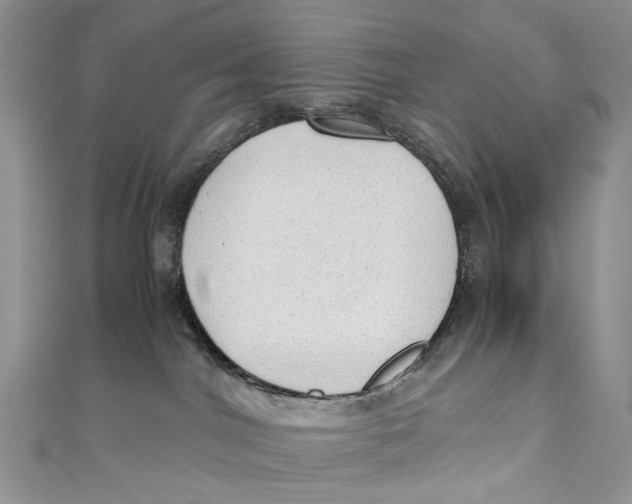 X0000110910044200907091445