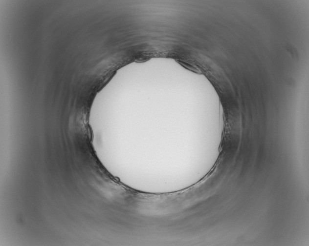 X0000110910045200907091445