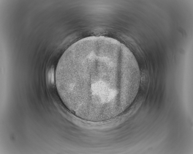 X0000110910046200907091445