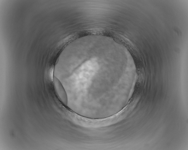 X0000110910047200907091445