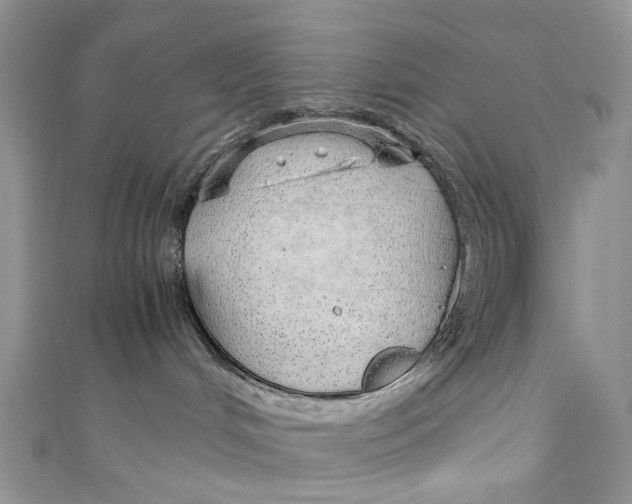 X0000110910048200907091445