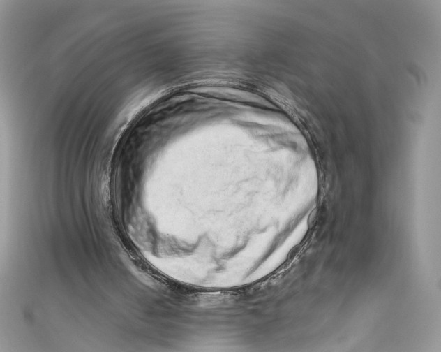 X0000110910050200907091445