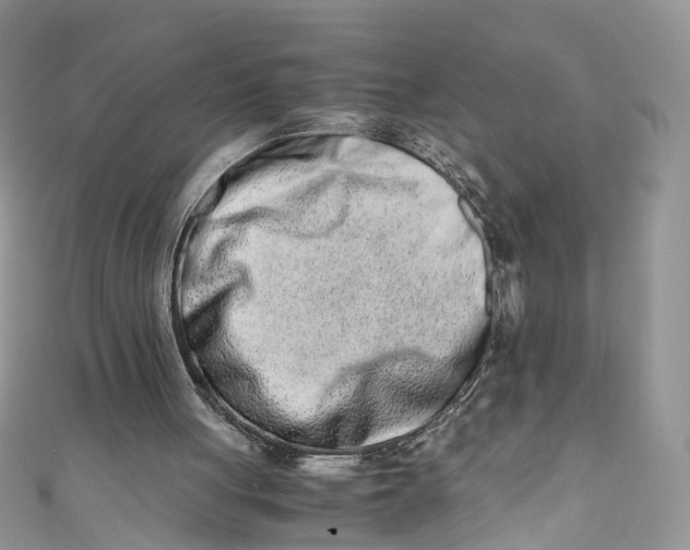 X0000110910051200907091445