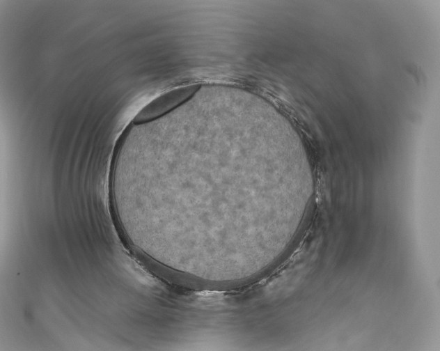 X0000110910052200907091445