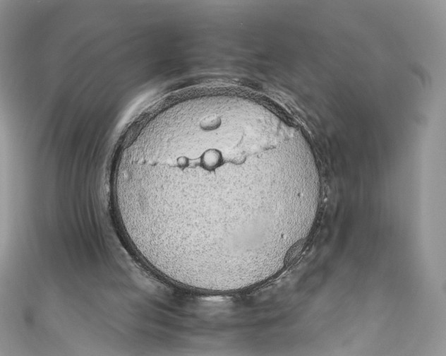 X0000110910053200907091445