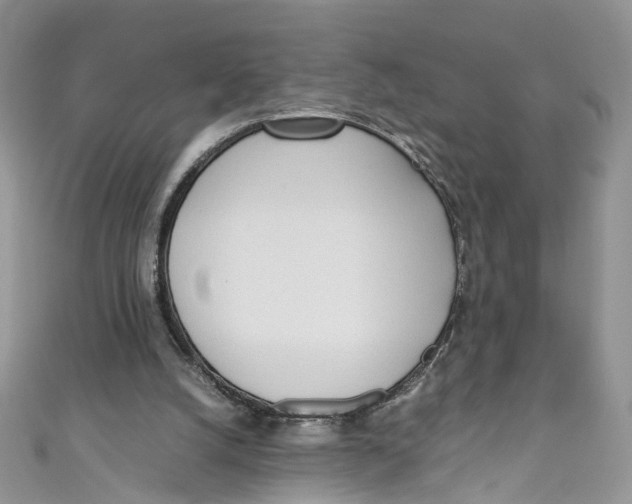 X0000110910056200907091445