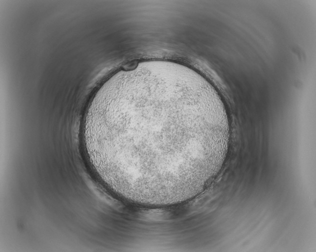 X0000110910058200907091445