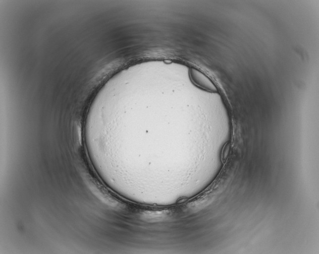 X0000110910061200907091445