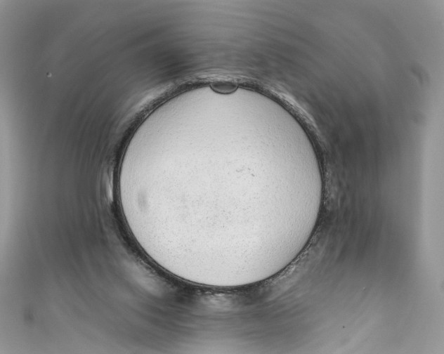 X0000110910062200907091445