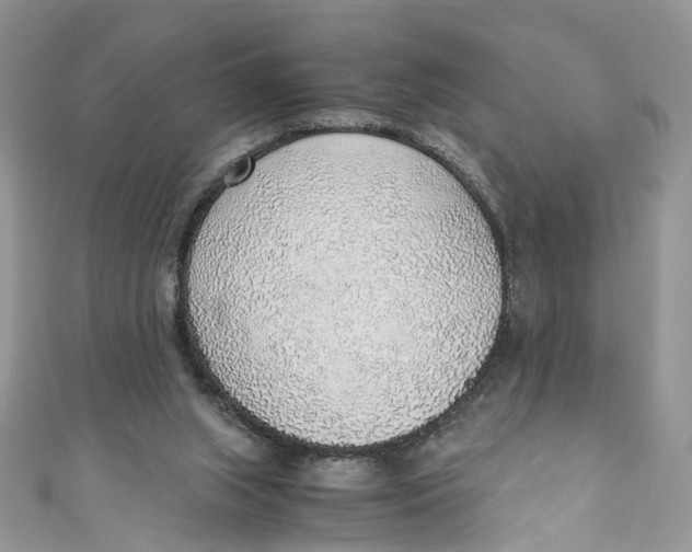 X0000110910063200907091445