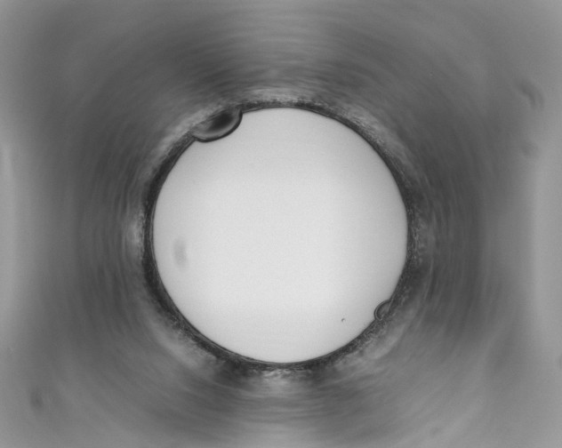 X0000110910064200907091445