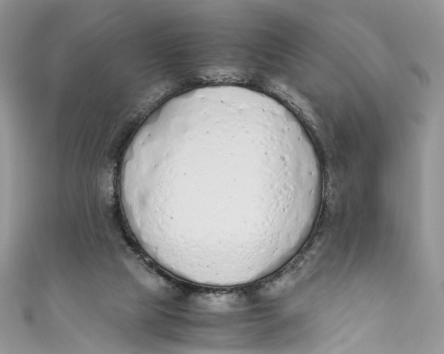 X0000110910065200907091445