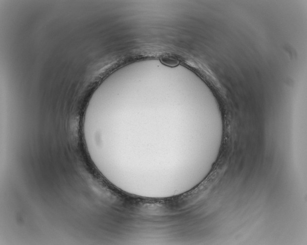 X0000110910066200907091445