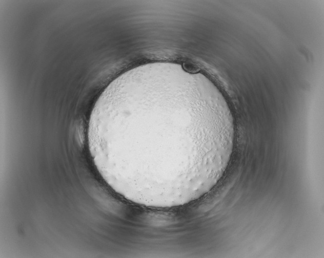 X0000110910069200907091445