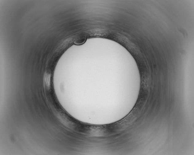 X0000110910070200907091445