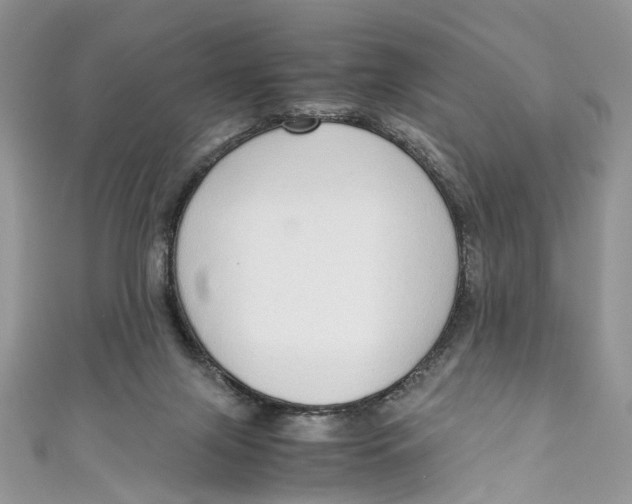 X0000110910071200907091445