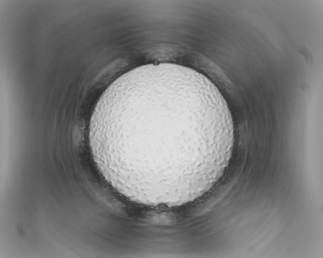 X0000110910073200907091445