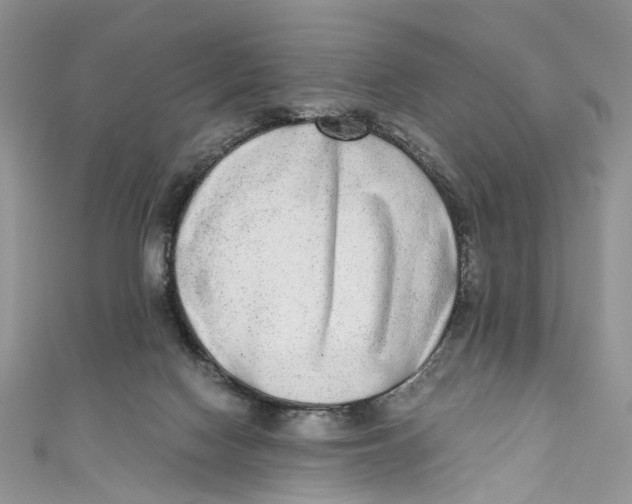 X0000110910074200907091445