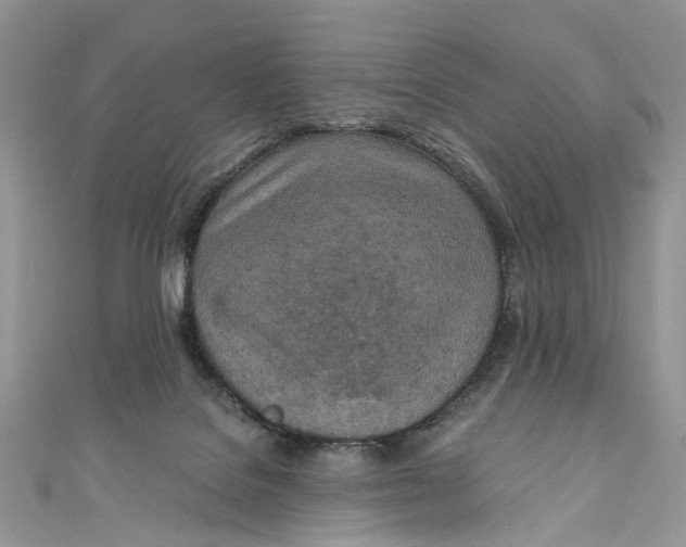 X0000110910076200907091445