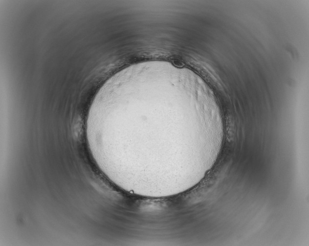 X0000110910077200907091445