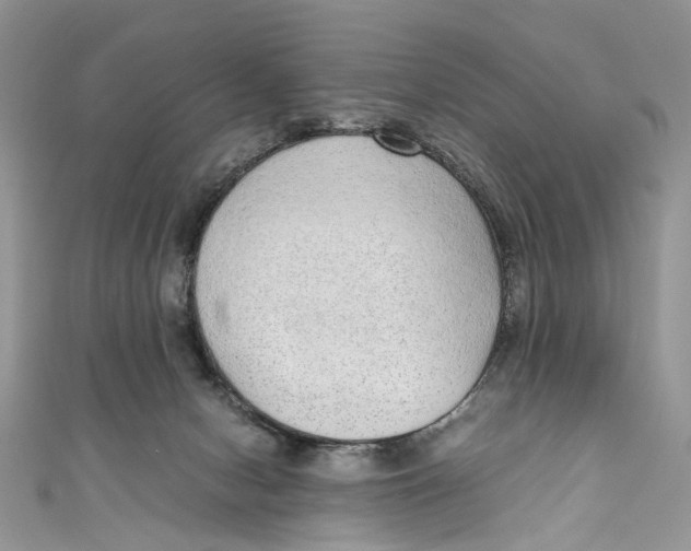 X0000110910078200907091445