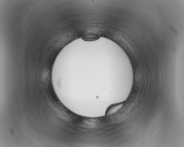 X0000110910079200907091445