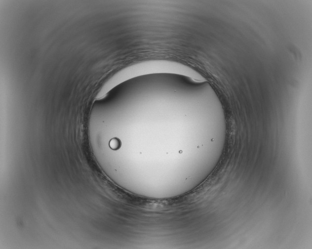 X0000110910080200907091445