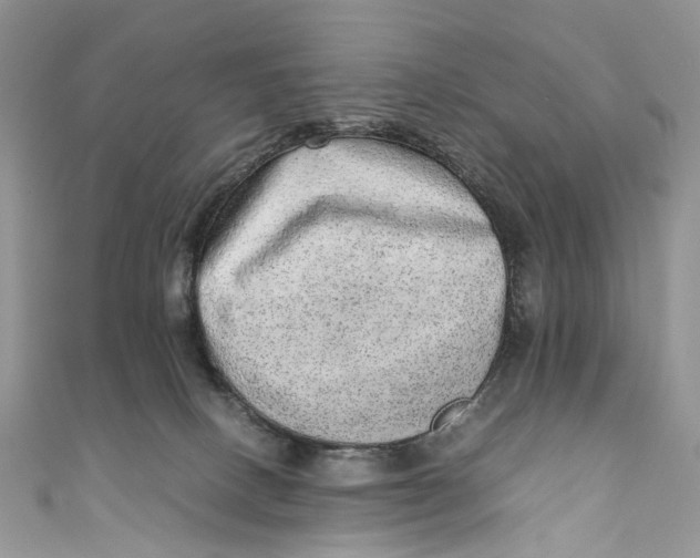 X0000110910082200907091445