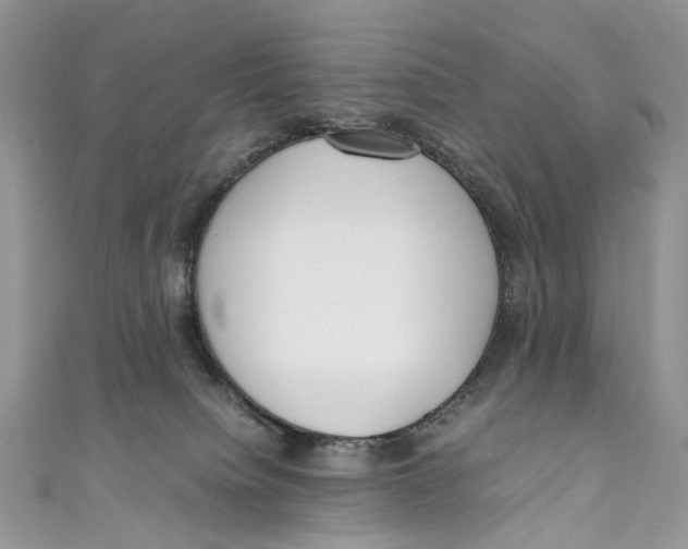 X0000110910084200907091445