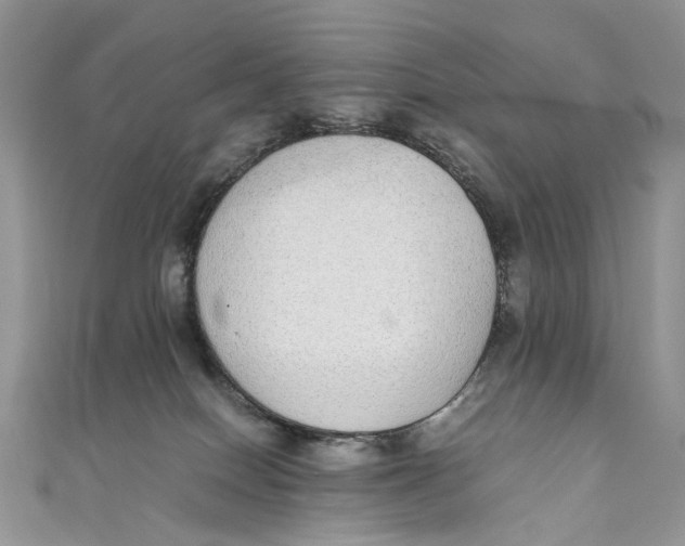 X0000110910086200907091445