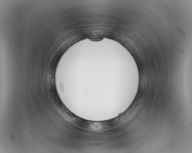 X0000110910091200907091445