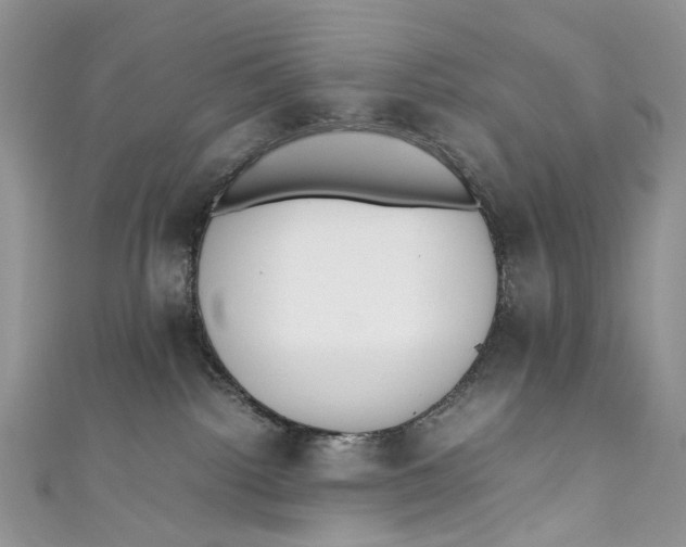 X0000110910092200907091445