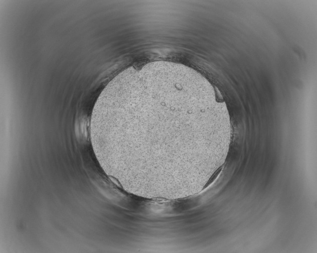 X0000110910094200907091445