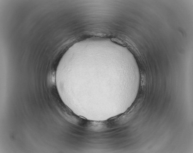 X0000110910095200907091445