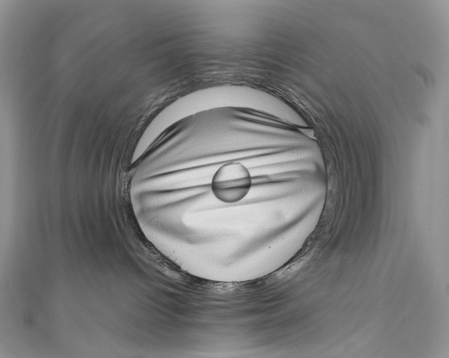 X0000110910096200907091445