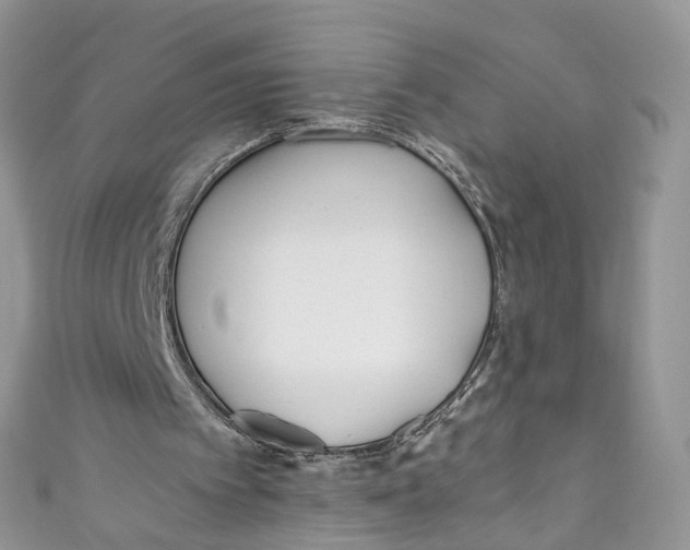 X0000110910097200907091445