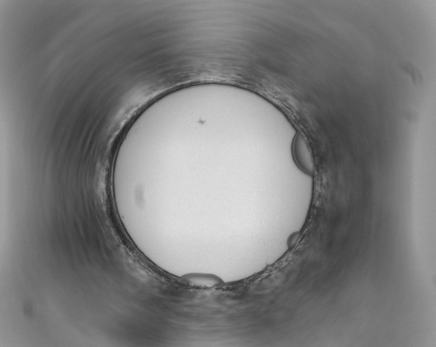 X0000110910098200907091445