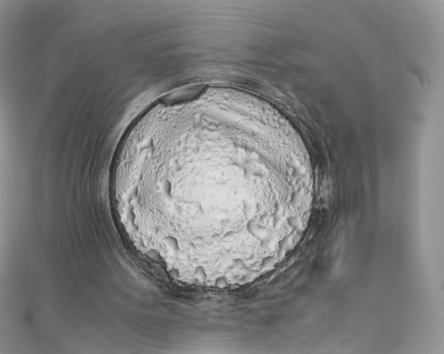 X0000110910099200907091445