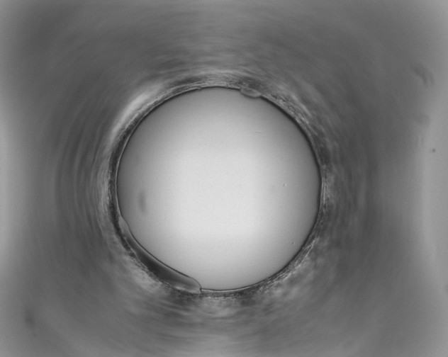 X0000110910101200907091445