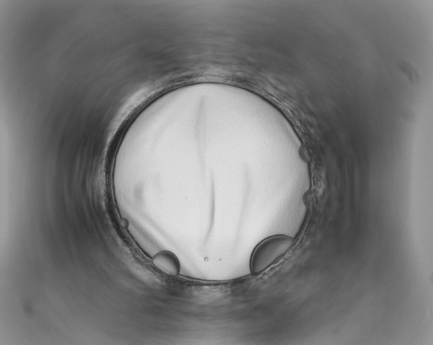 X0000110910102200907091445