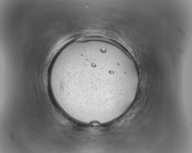 X0000110910103200907091445