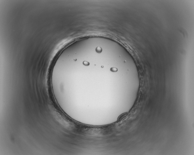 X0000110910104200907091445