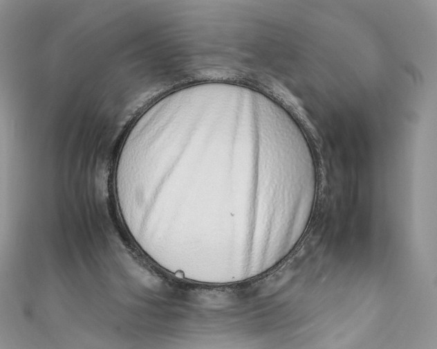 X0000110910106200907091445