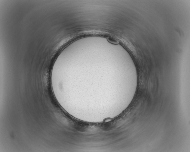 X0000110910111200907091445